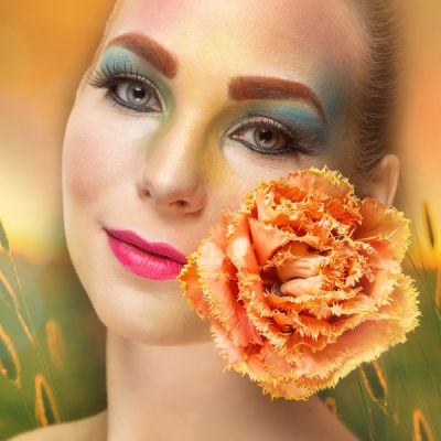Compositing Julia Seasons Summer Field